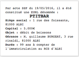 exemple publication legale sci